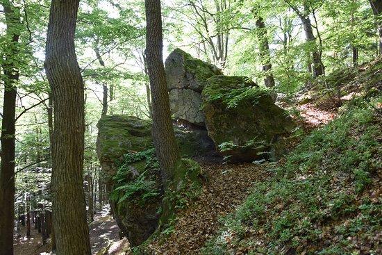 Rezerwat przyrody Kamień Michniowski